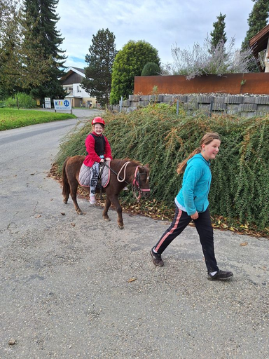 Ponyparadies Bützberg 2025