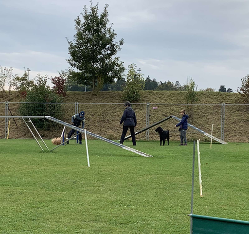 Jugend und Hund 2021