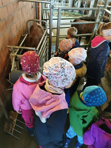 Besuch auf dem Bauernhof 2025