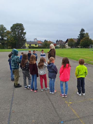 Erlebnisfalknerei und Falkenflüge 2025