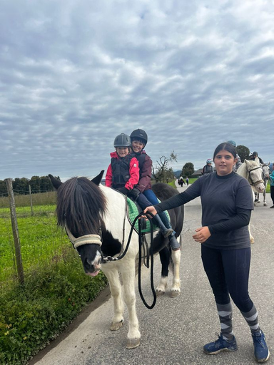 Ponyparadies Bützberg 2025