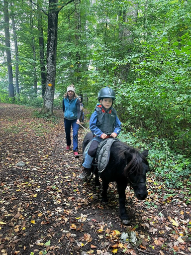 Ponyparadies Bützberg 2025