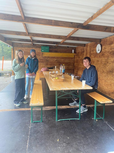 Autofahren ohne Ausweis 2025