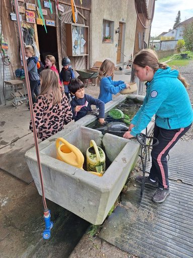 Ponyparadies Bützberg 2025
