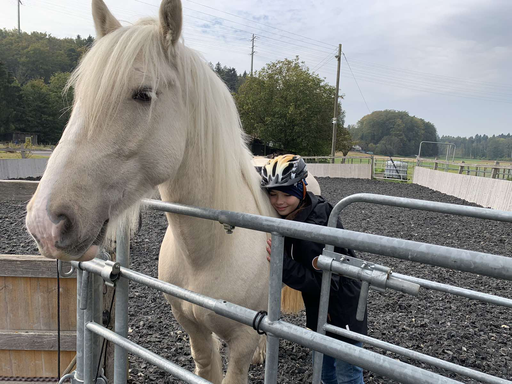 Pferde Entdeckungen und Reiten 2021