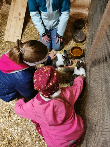 Besuch auf dem Bauernhof 2025